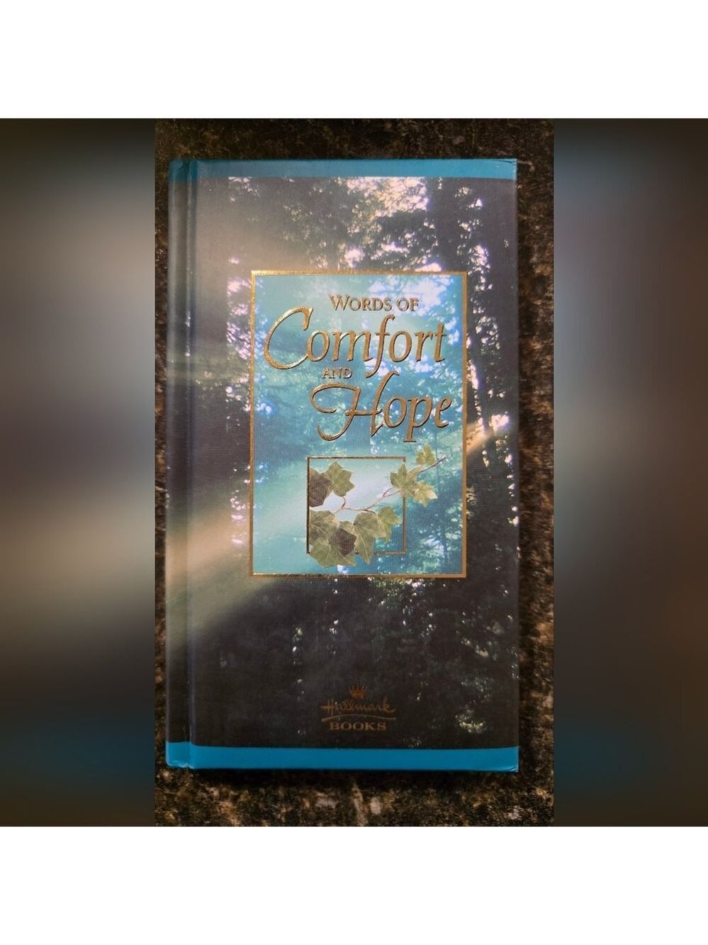 💥4 for $25💥 Hallmark Books Words Of Comfort And Hope Hardcover